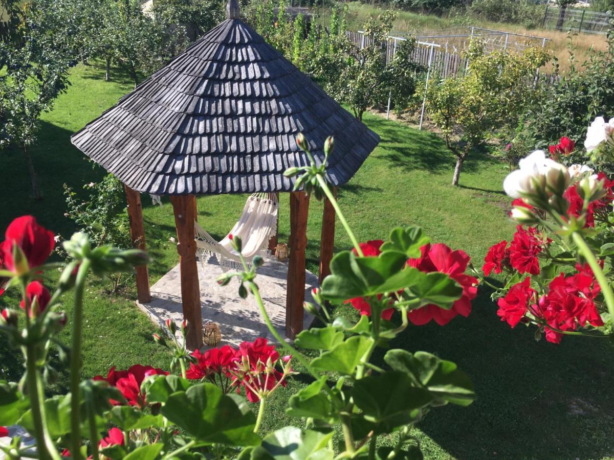 Casa Moldovan Ocna Şugatag 외부 사진