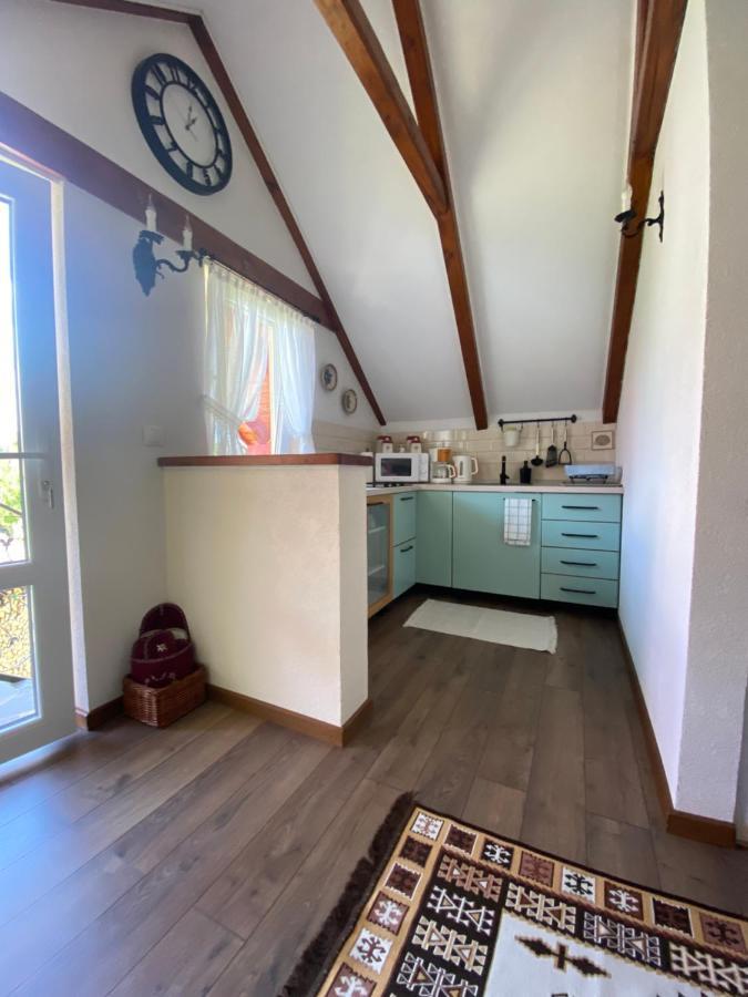 Casa Moldovan Ocna Şugatag 외부 사진