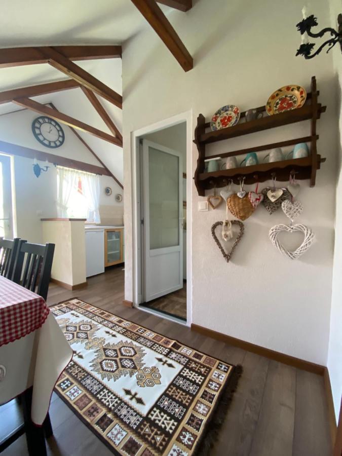 Casa Moldovan Ocna Şugatag 외부 사진