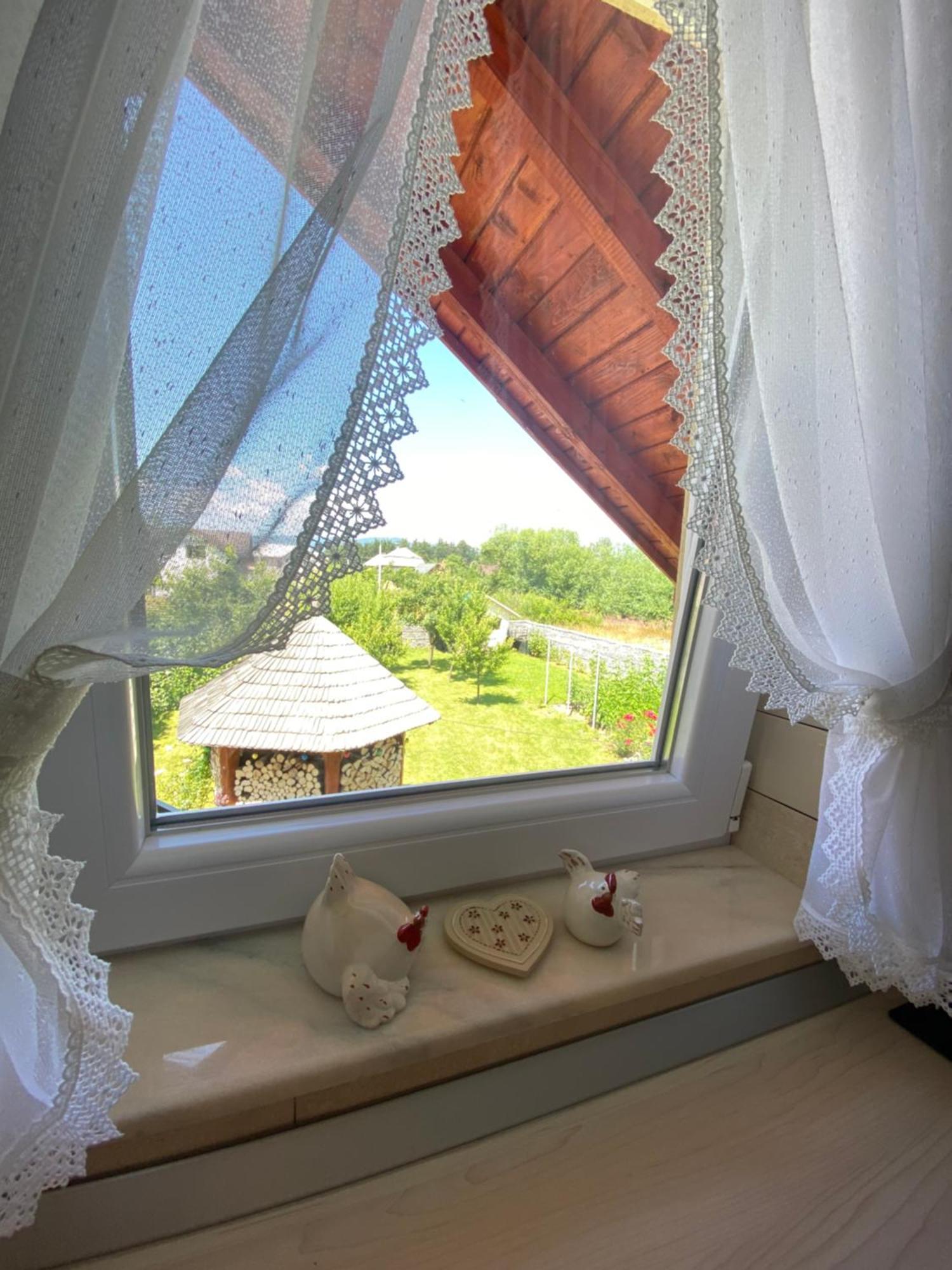 Casa Moldovan Ocna Şugatag 외부 사진